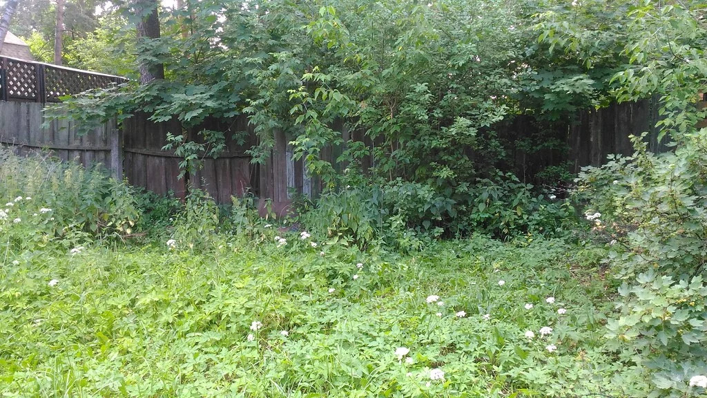 Индекс кратово. Стародачный посёлок Кратово. Кратово Полевая 6. Стародачный поселок ДПК Назарьево.
