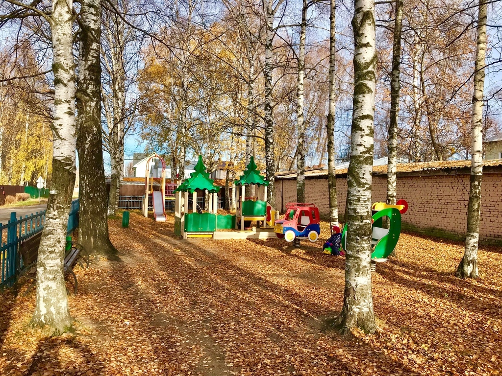 поселок родники раменский район фото вид бамбука