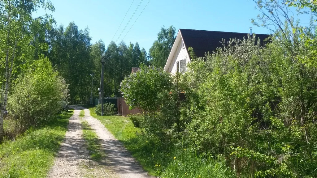 пос мегринский белозерский район. деревня васютино покровский район. деревня васютино покровский район орловской области. деревня васютино покровский район. деревня васютино покровский район орловской области.