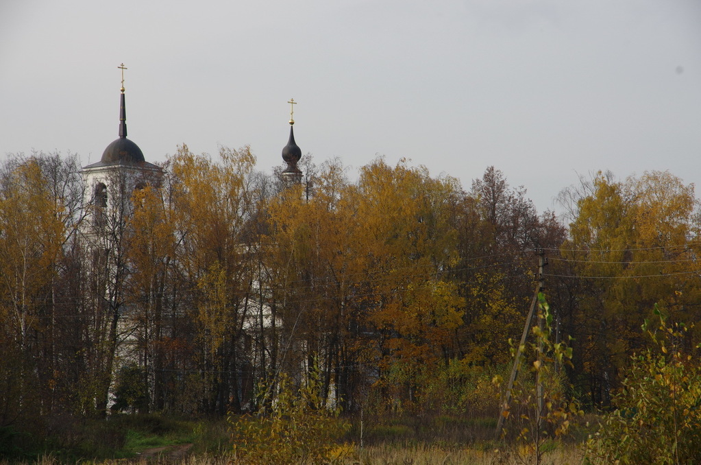 Ямкино. Село Ямкино Ногинский район. Ямкино Ногинск. Московская область Ямкино Ногинский район озеро. Природа с.Ямкино.