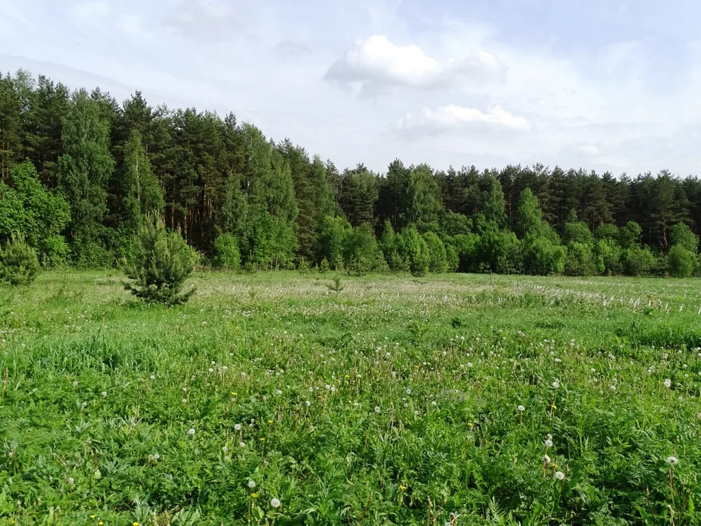 Участок раменский. Купить земельный участок в Строкино Раменский район. Фото Раменского района участки земли.