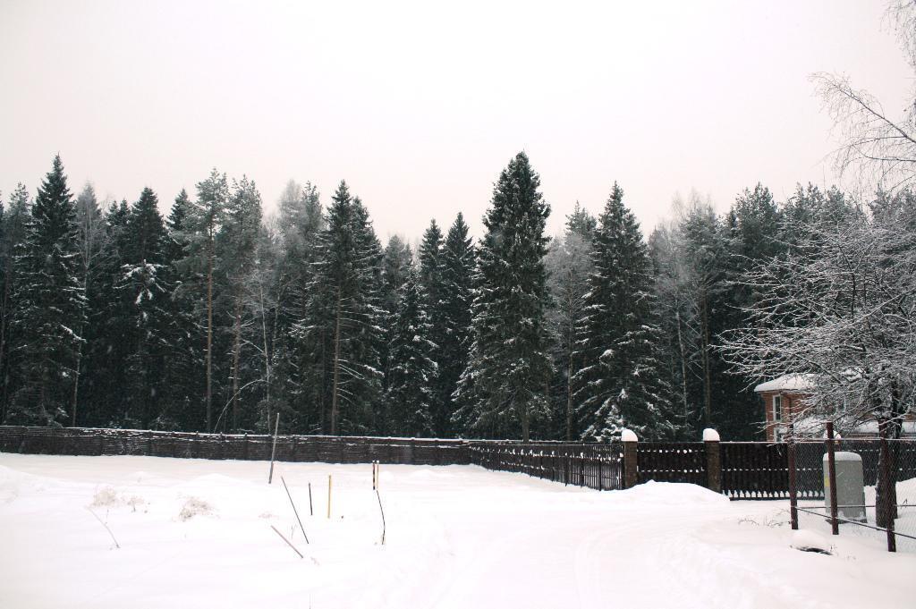 Купить Дом В Фонтенбло Пушкинский Район