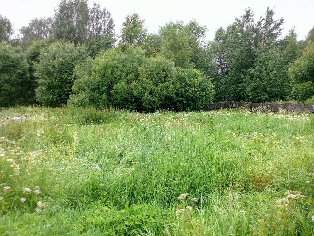 Погода в деревне карабаново ногинский