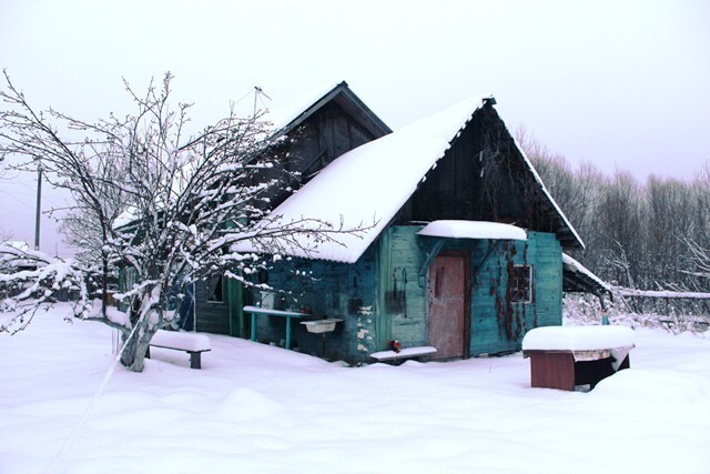 Алексино шатур