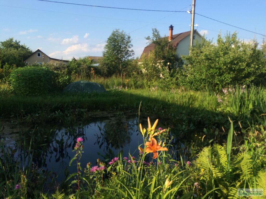 Купить Дом В Чеховском Районе Луч