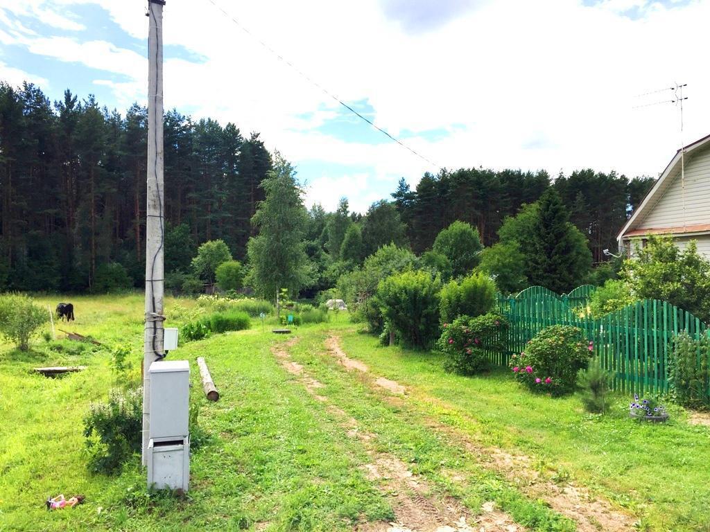 39 км. Новогришино Дмитровский район. Новое Гришино Дмитровский район. Поселок новое Гришино Дмитровский район. Новое Гришино Московская область Дмитровский район.