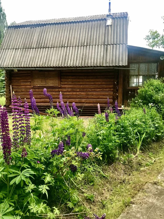 Авито деденево. Деревня Садниково Дмитровский район. СНТ Сурминская Поляна. СНТ Сурминская Поляна Дмитровский район. СНТ Поляны Дмитровский район.