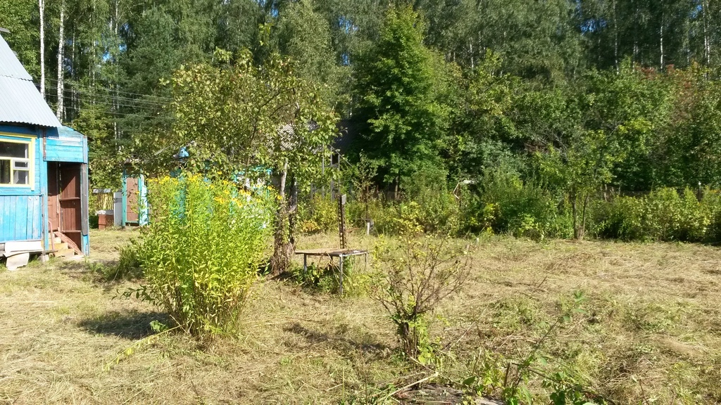 Купить Дачу В Лесу В Красноярске