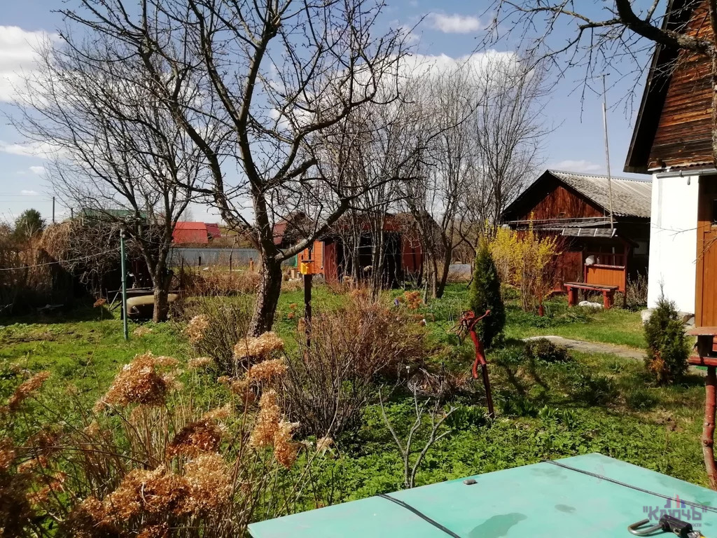 Кролики Дмитровский Район Московская Область Купить