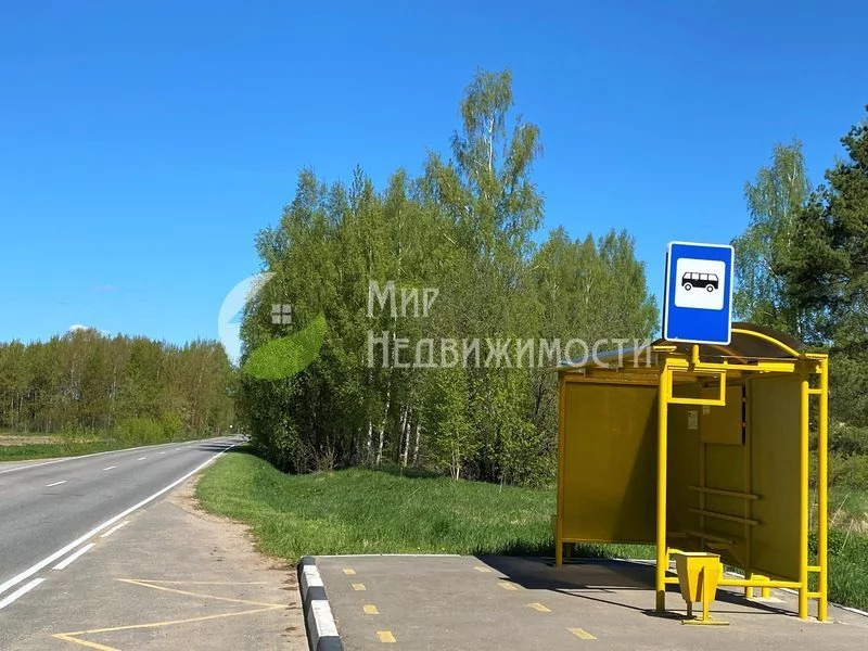 Купить Репку В Дубне Московской Области