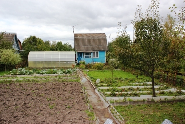 Карта снт механизатор