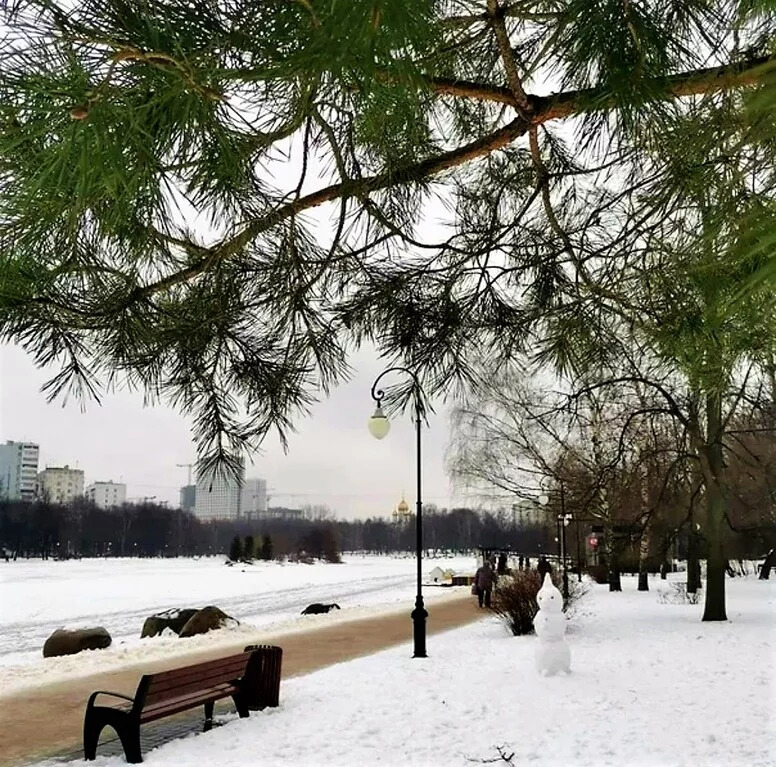 Каток в парке Ангарские пруды