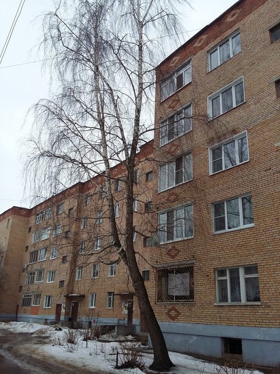 рошаль фридриха энгельса 1. химиков д. 1-я первомайская д. рошаль город ул. серпухов улица химиков 1.