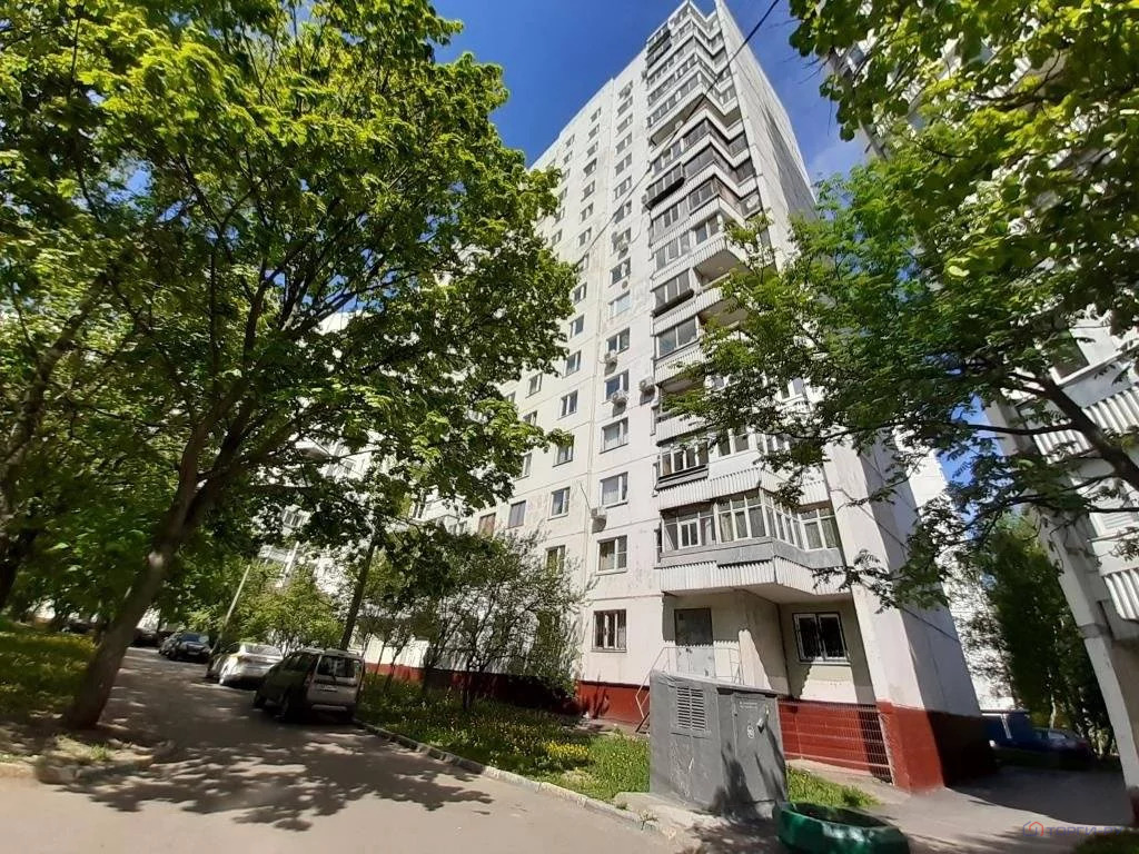 Ветдок пр одоевского 11 корп 7 фото