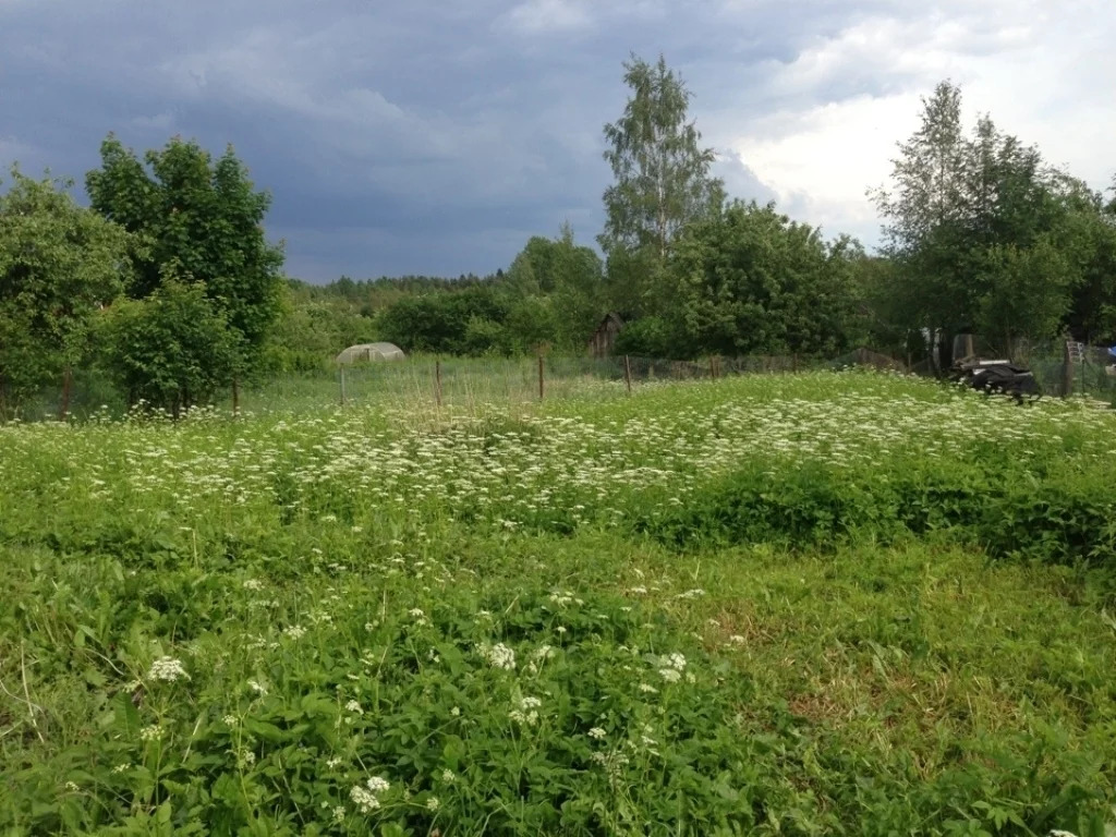 Где Лучше Купить Участок В Подмосковье