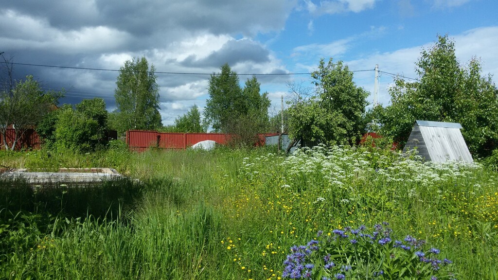 Погода в рузском подолы. Алексино (Рузский городской округ).