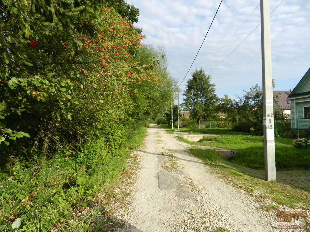 Сенькино тверская область. Деревня петрушино рязанская область. Деревня петрушино. Погода петрушино орехово зуевский. Снопок орехово зуево дачи.