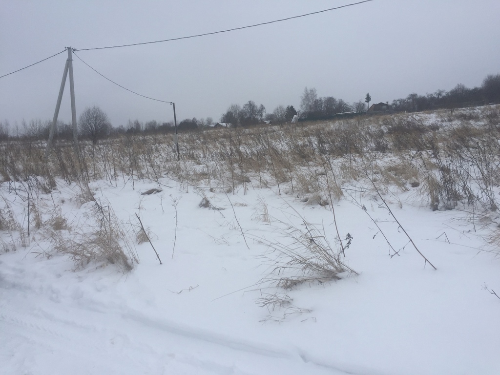 Новосурино можайск. Новосурино Можайского района.