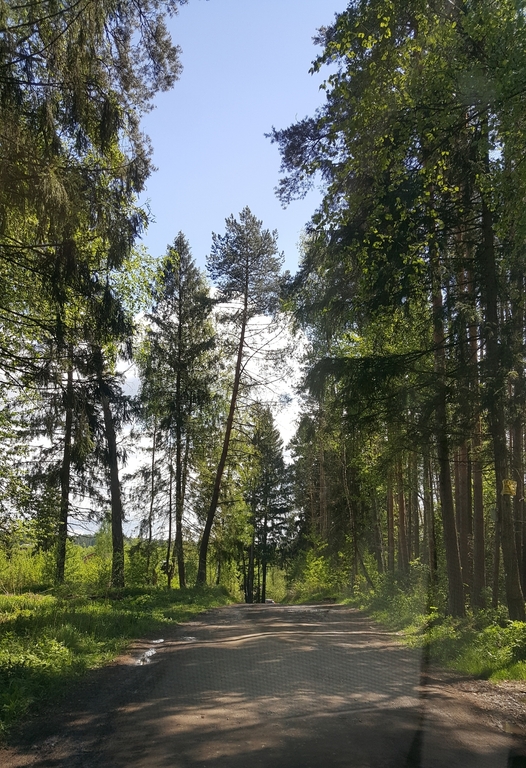 дом отдыха щелково воря богородское