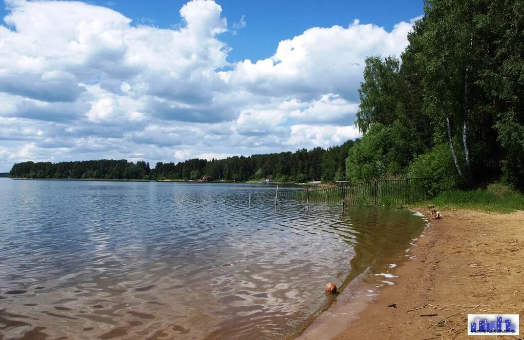 Истринское водохранилище пятница. Полежайки Истринское водохранилище. Деревня Полежайки Солнечногорский район пляж. Малиновский Полежайки Истринское водохранилище. Татищево берег Истринское водохранилище.