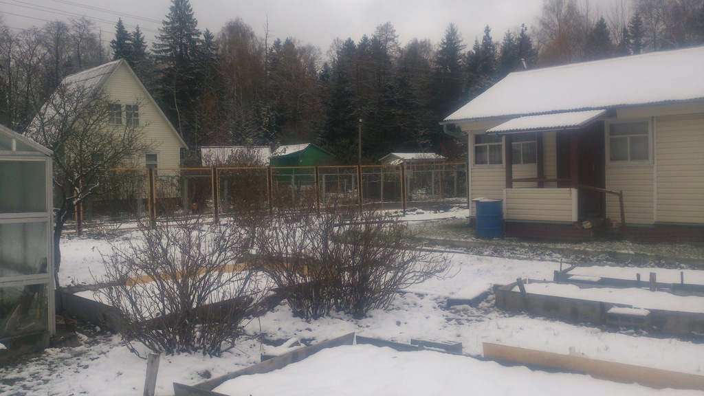 Снт сушкинская. Снт сушкинская. Снт сушкинская. Дача продам белорусское направление. Сушкинская дачи.