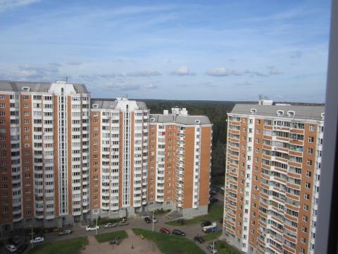 Фото голубое солнечногорский район