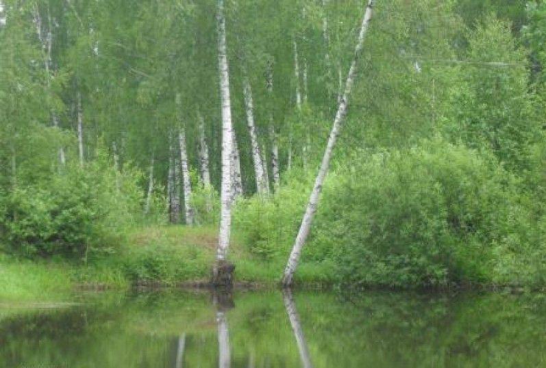 Купить Участок В Сынково Подольский Район