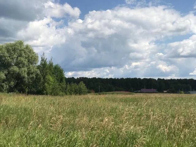 Линия село. Дмитровский район , д.Василево. Деревня Василево Раменский район. МО деревня Василево Дмитровский район военный полигон. Василево Дмитров ГАЗ.