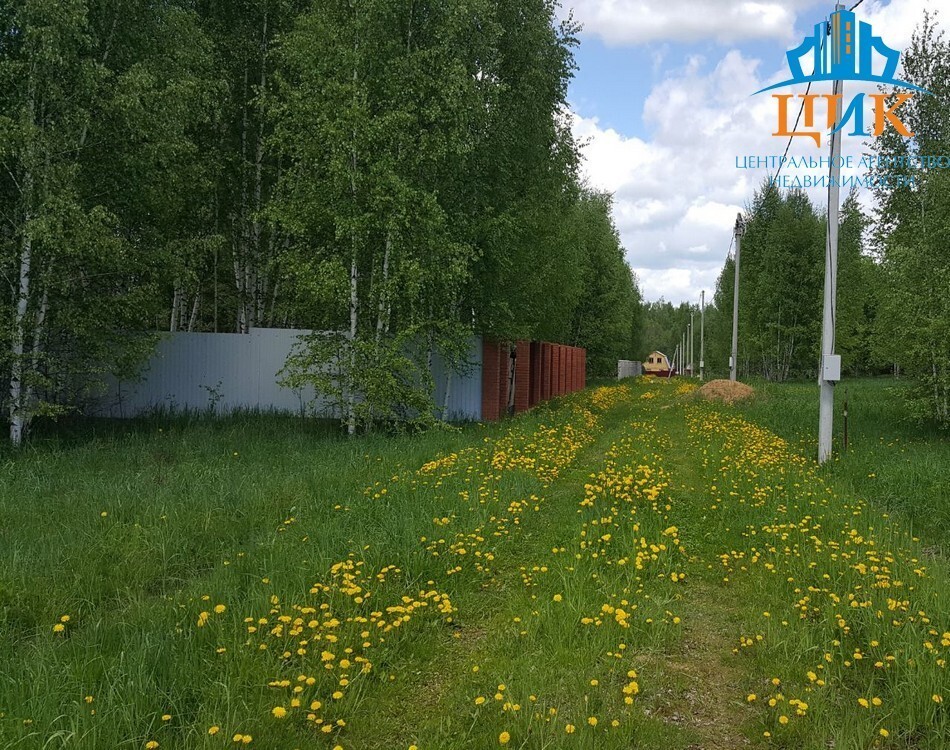 Погода село надеждино. Деревня Надеждино Дмитровский район. Дмитров Надеждино. Надеждино (Дмитровский городской округ). Площадь Дмитровского района.