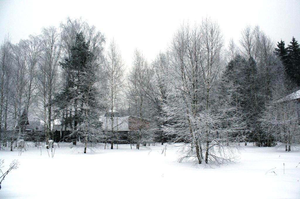 Купить Дом В Фонтенбло Пушкинский Район