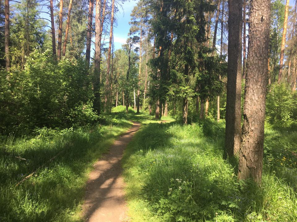 Усадьба ямкино. Ногинский р н Ямкино. Озеро в Ямкино Ногинский район. Село Ямкино Центральная усадьба аллея. Центральная усадьба Московская область село Ямкино дом 10.