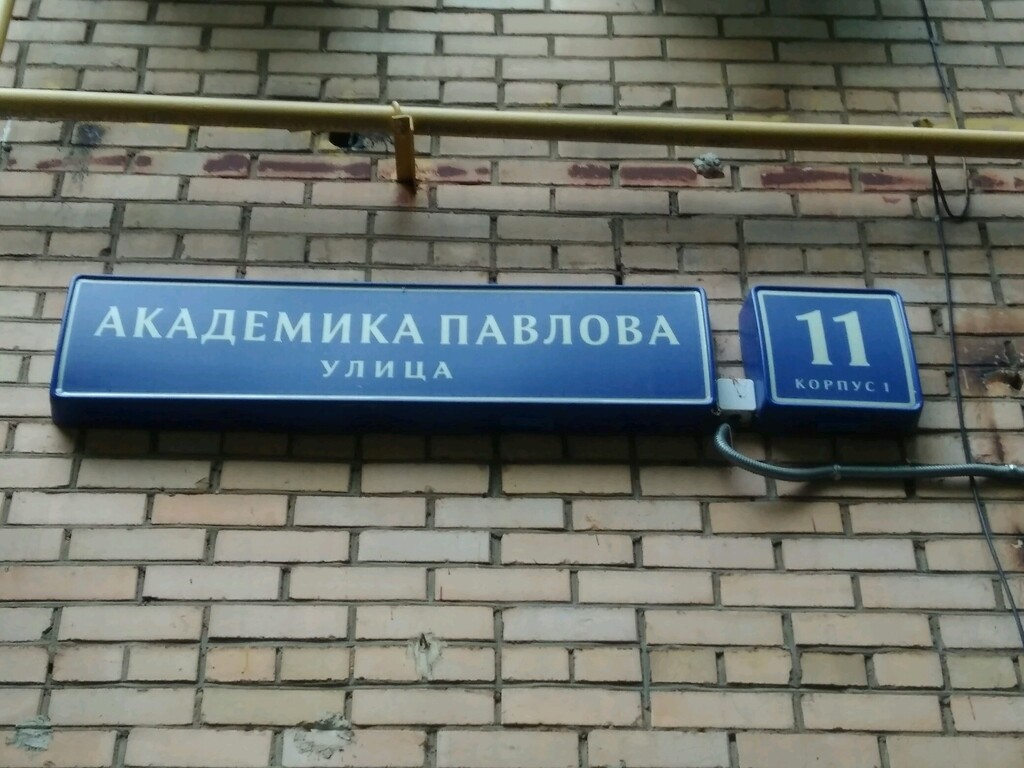 Улица академика павлова 11а