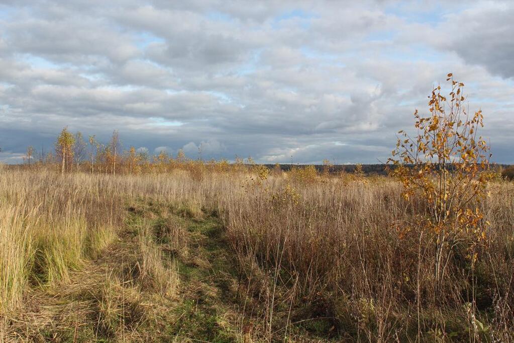 Купить Участок В Городе Клин