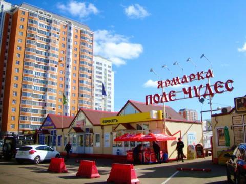 Московская область улица заречная. Балашиха ул Заречная 40. Улица Заречная город Балашиха. Балашиха, ул Заречная дом 40. Балашиха Заречная 40 фото.