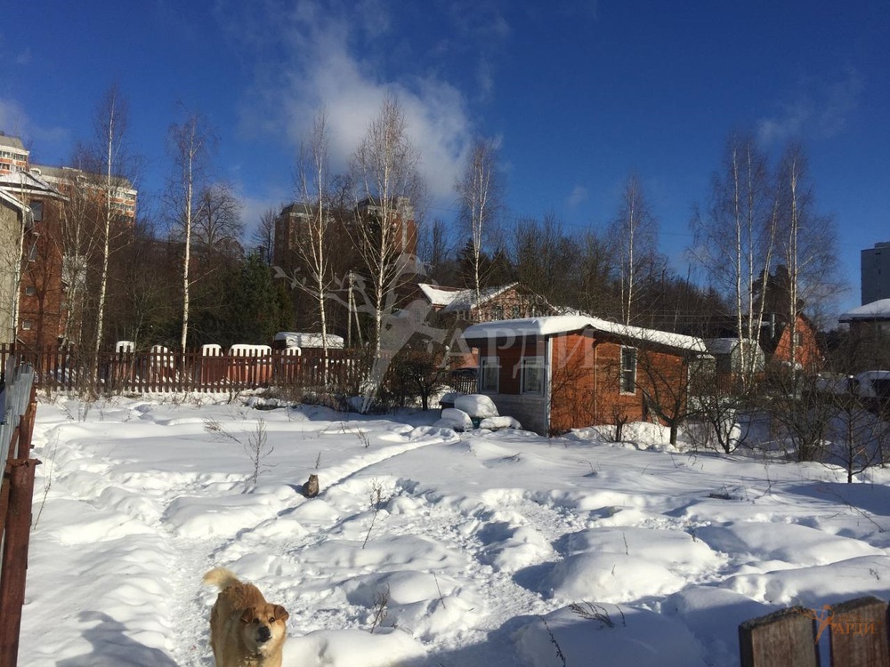 Голубое солнечногорский район фото деревня