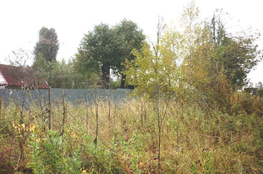 деревня обновленный труд истринский район. журавлево рузский район. князевое наро-фоминский район. деревня новинки сергиев посад. история деревня новоникольское наро фоминский район.