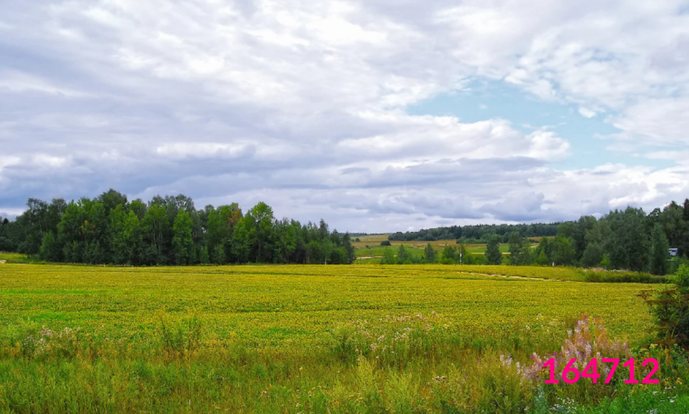 Перелески. Перелесок среди поля. Перелесок фото. Тверская область дер. Необозримые поля.