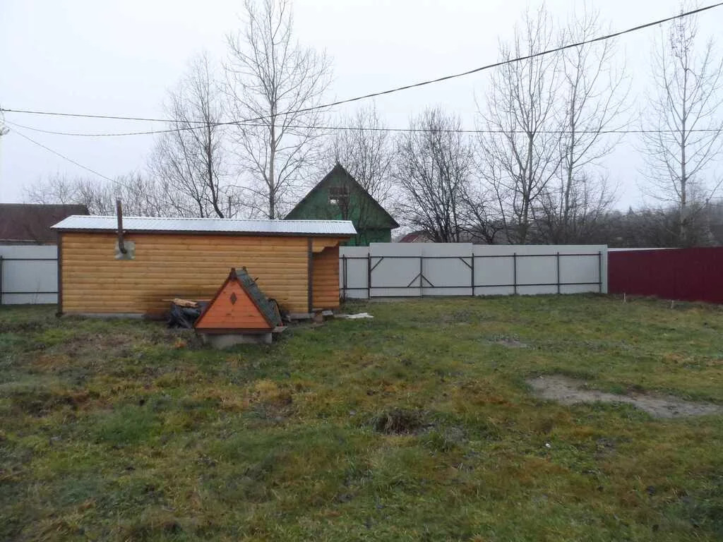 снт оптимист