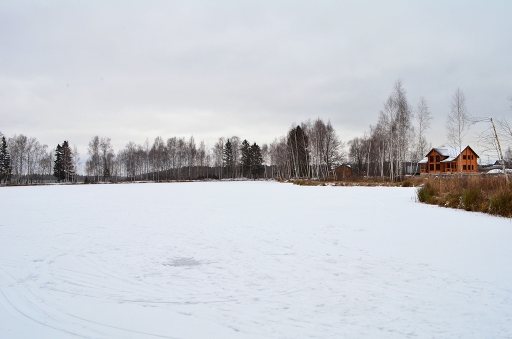 Погода в талызино нижегородская область. Деревня Дедово-Талызино. Дедово Талызино. Усадьба Талызино. Усадьба Дедово.