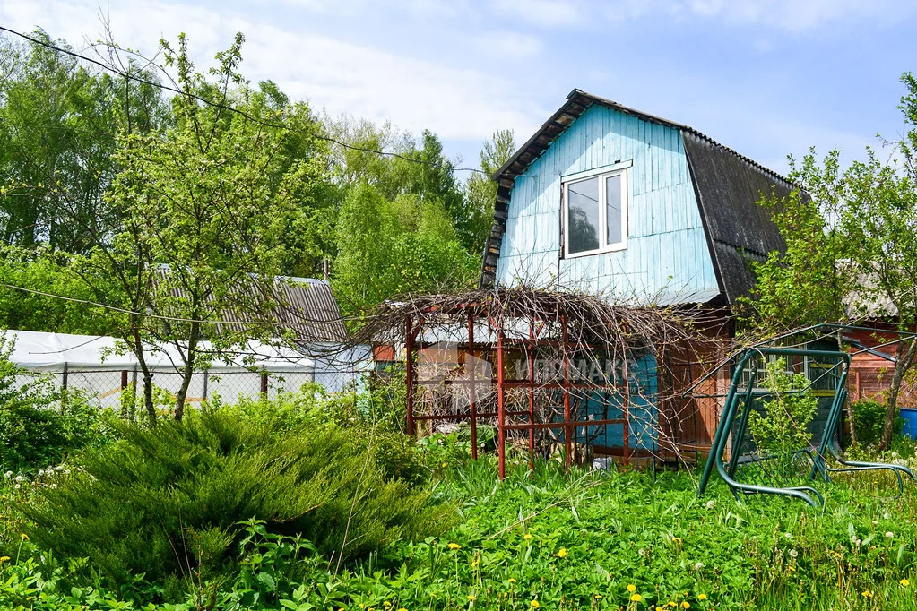 Купить снт энергия