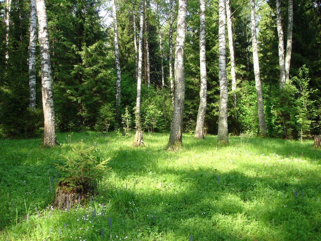 Купить Квартиру В Солнечногорском Районе Березки