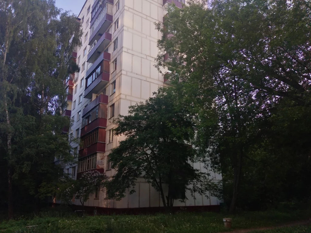 Москва, 1-но комнатная квартира, Щелковское ш. д.85к3, 8000000 руб.