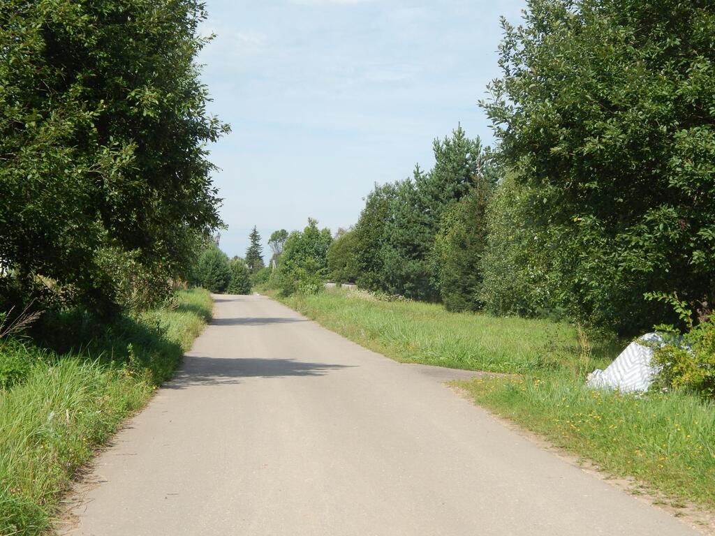 Погода в рузском подолы