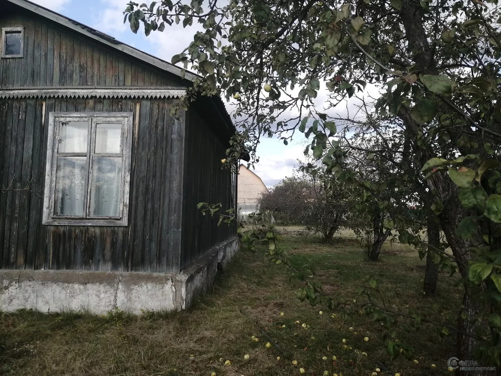 Купить Дачу В Белозерском Районе