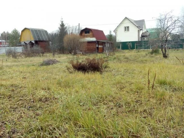 Садовый Участок В Снт Мечта Купить