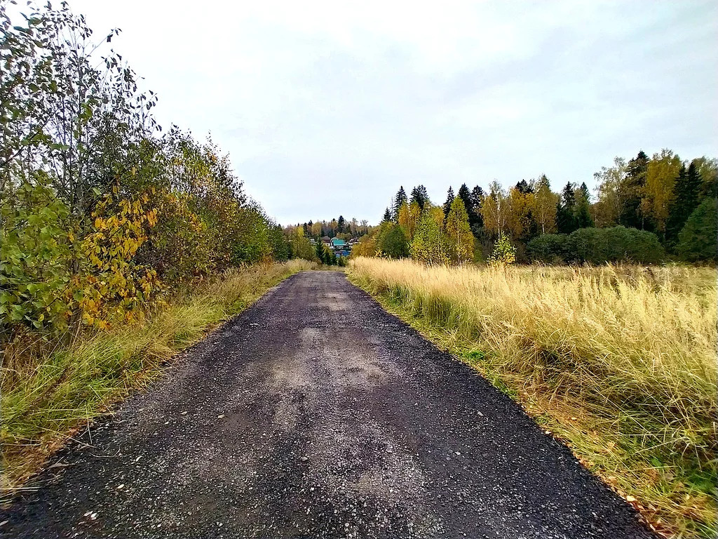 Снт Осинка Купить Участок