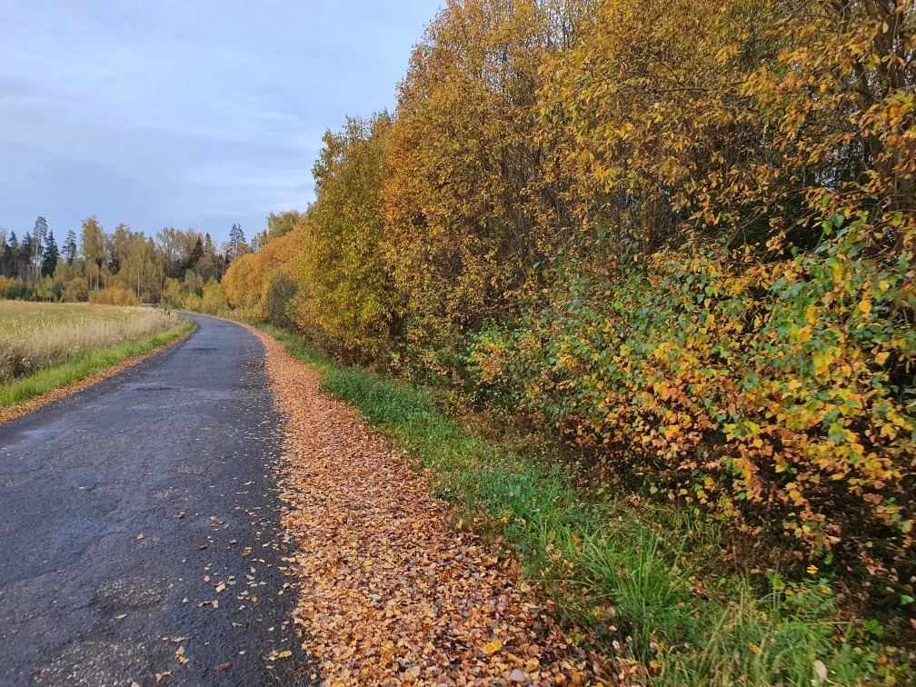 Село троицкое участок