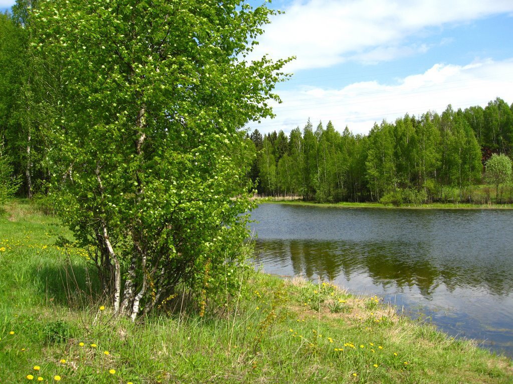 Купить Участок В Северном Белгородская Область