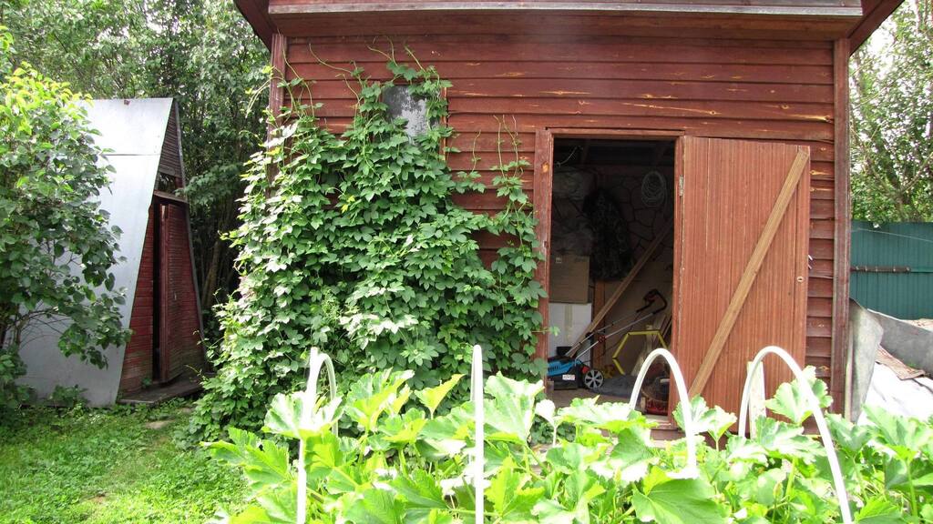 д савельево снт парижская коммуна. снт парижская коммуна. снт парижская коммуна. снт венки. снт парижская коммуна.