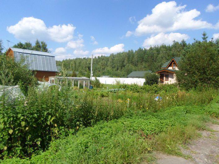 Вороновское поселение пляж бабенки открыть фотографии. Бабенки вороновское. Бабенки-1. Бабенки поселок. Деревня бабенки.